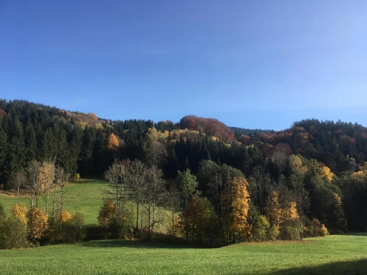 Komfortable Wohnungen und Studio in Sankt Englmar 0*,