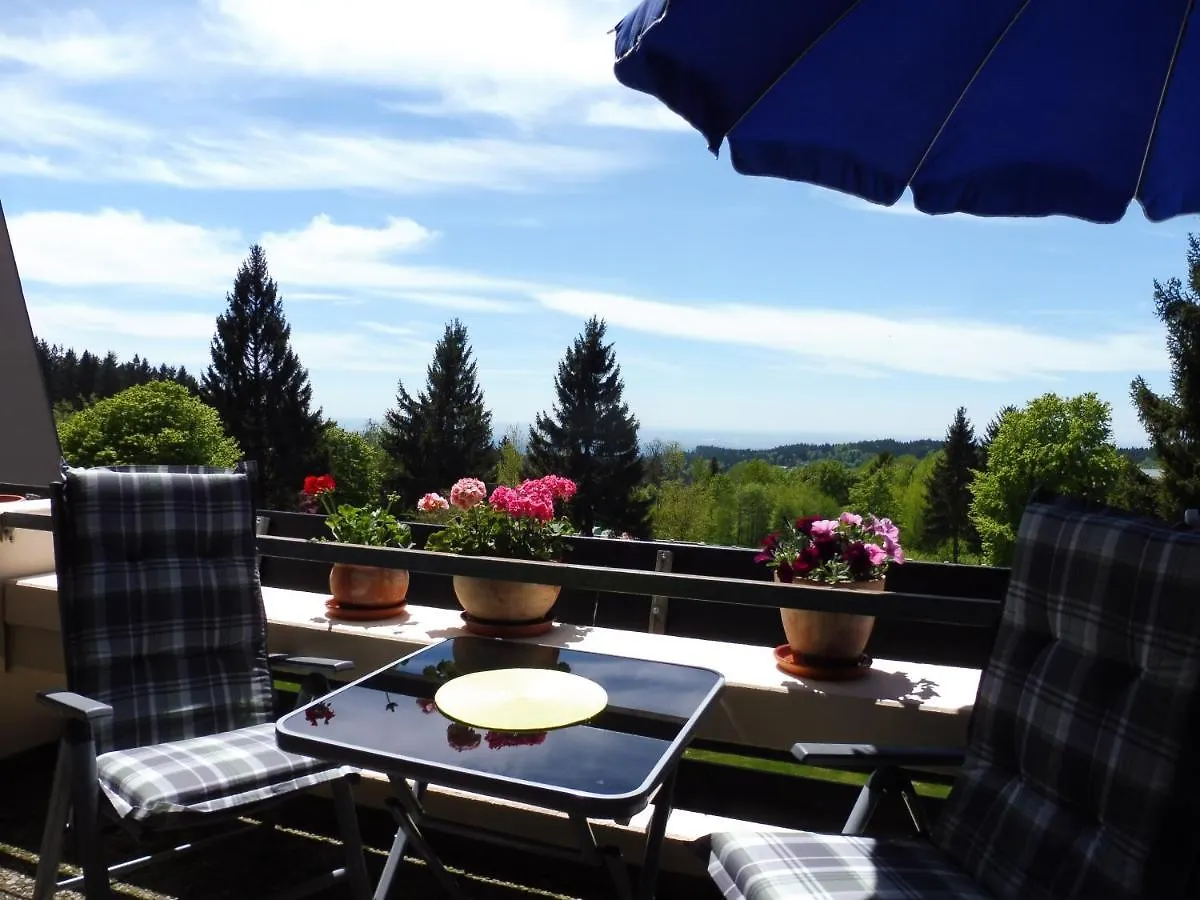Apartment Komfortable Wohnungen und Studio in Sankt Englmar